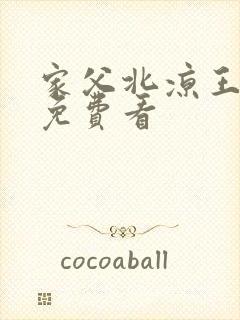 家父北凉王短剧免费看