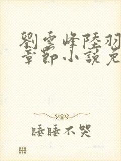 刘云峰陆羽最新章节小说免费阅读