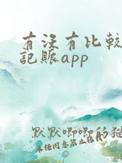 有没有比较好的记账app