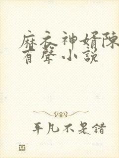 麻衣神婿陈黄皮有声小说