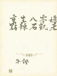 重生八零媳妇有点辣石凯老婆结局