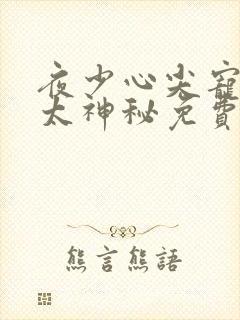 夜少心尖宠娇妻太神秘免费阅读