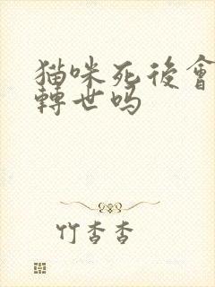 猫咪死后会投胎转世吗