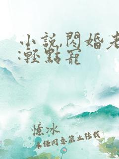 小说,闪婚老公:轻点宠