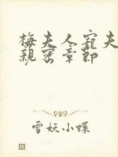 梅夫人宠夫日常亲密章节