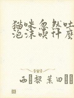 猫咪忽然吐白色泡沫吃什么药