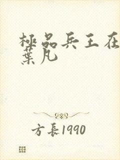 极品兵王在都市叶凡