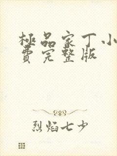 极品家丁小说免费完整版