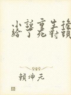 小说重生后我嫁给了死对头完整版