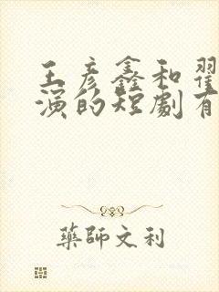 王彦鑫和翟一莹演的短剧有哪些