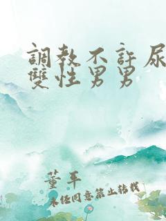 调教不许尿bl双性男男