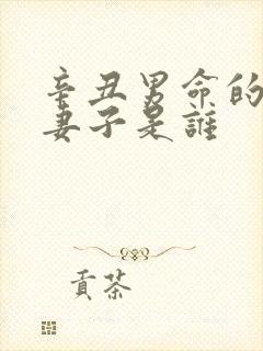 辛丑男命的正缘妻子是谁