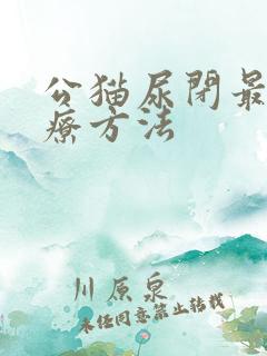 公猫尿闭最佳治疗方法