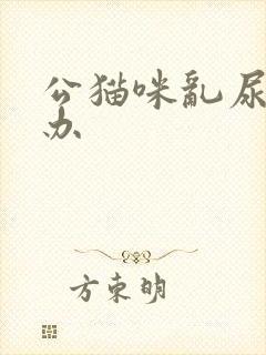 公猫咪乱尿怎么办