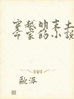 穿越明末土匪革命家的小说