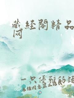 藏经阁精品小说网