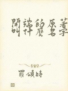 开端的原著小说叫什么名字