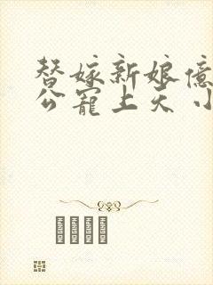 替嫁新娘亿万老公宠上天 小说