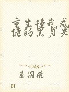 重生后我成了大佬的黑月光 连载