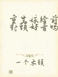 重生嫁给前夫死对头好看吗