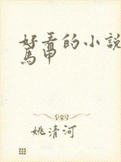 好看的小说推荐马甲