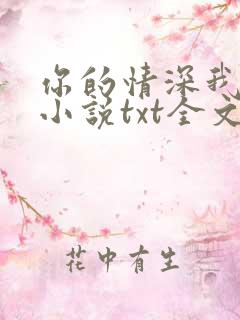 你的情深我不配小说txt全文下载