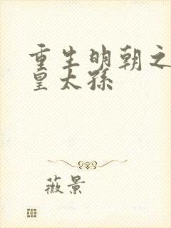 重生明朝之我是皇太孙