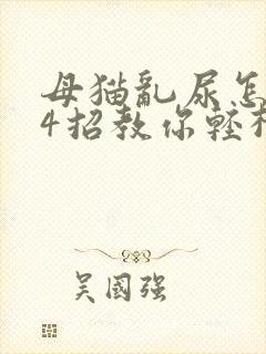 母猫乱尿怎么办4招教你轻松解决