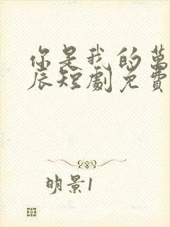 你是我的万千星辰短剧免费观看全集