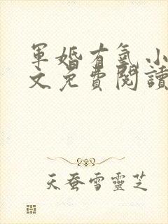 军婚有氧小说全文免费阅读