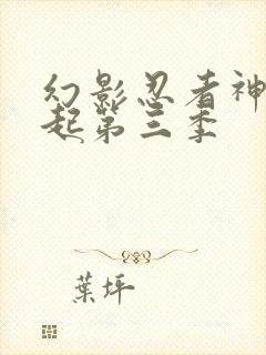 幻影忍者神龙崛起第三季