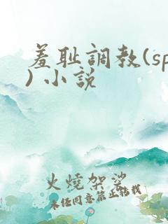 羞耻调教(sp) 小说