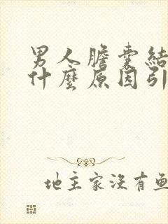 男人胆囊结石是什么原因引起的呢