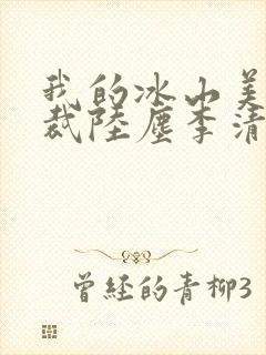 我的冰山美女总裁陆尘李清瑶