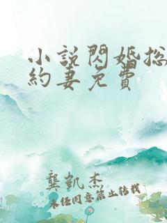 小说闪婚总裁契约妻免费