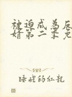 被迫成为反派赘婿第二季免费观看