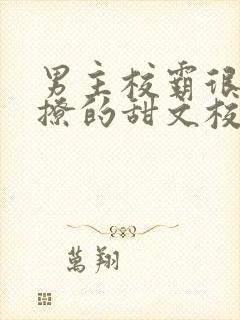 男主校霸很痞很撩的甜文校园