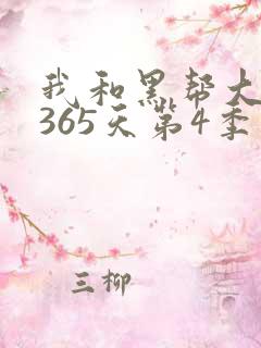 我和黑帮大佬的365天第4季