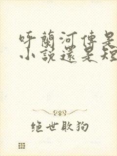 呼兰河传是长篇小说还是短篇小说