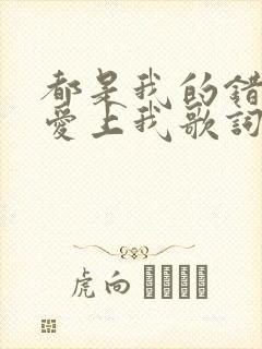 都是我的错让你爱上我歌词完整版