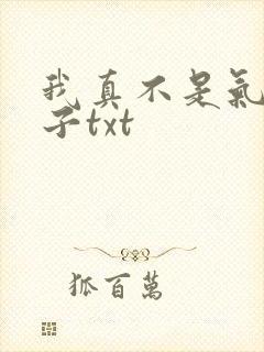我真不是气运之子txt