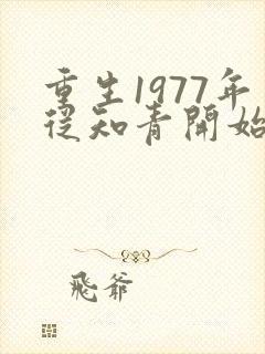 重生1977年从知青开始小说