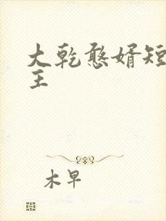 大乾憨婿短剧女主