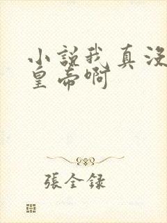 小说我真没想当皇帝啊