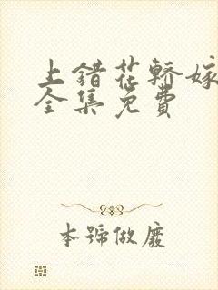 上错花轿嫁王爷全集免费