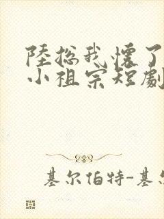 陆总我怀了你的小祖宗短剧完整版