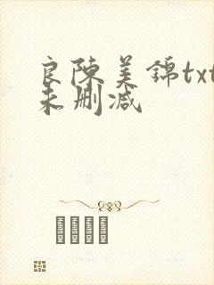 良陈美锦txt未删减