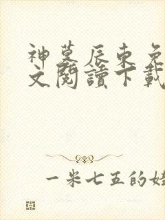 神墓辰东免费全文阅读下载