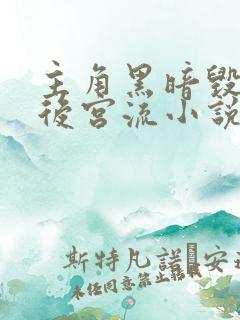 主角黑暗毁三观后宫流小说