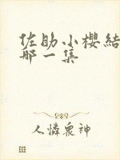 佐助小樱结婚是哪一集